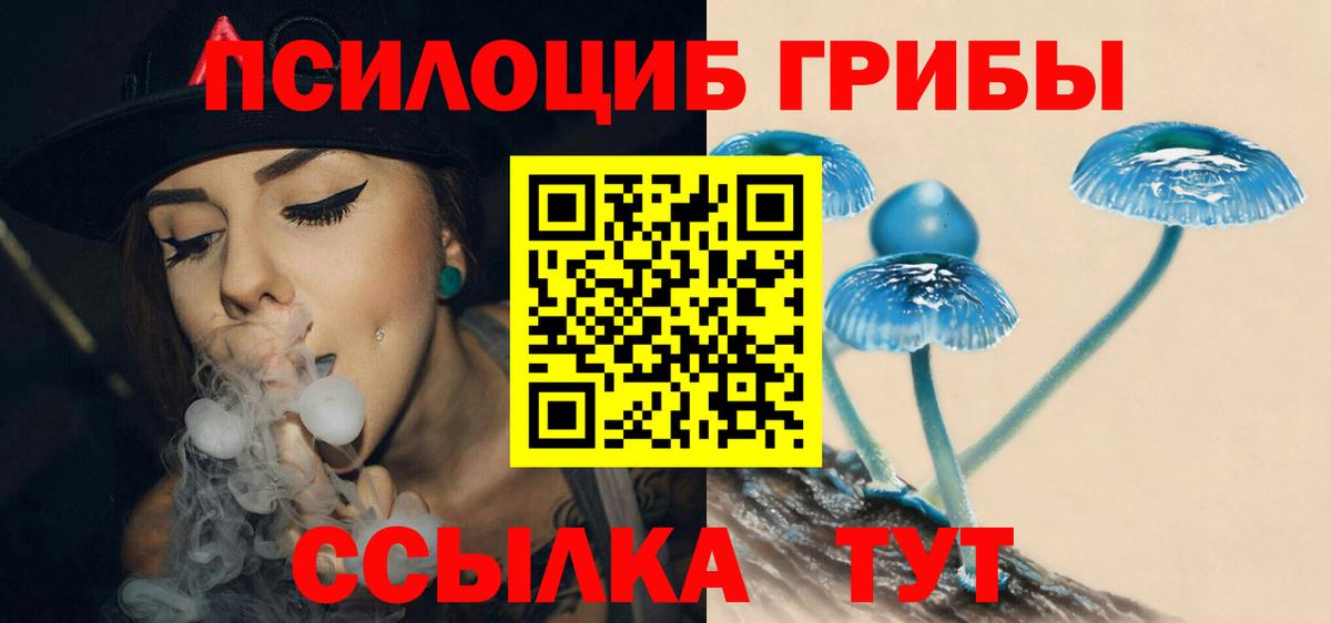 Псилоцибиновые грибы ЛСД Каменка