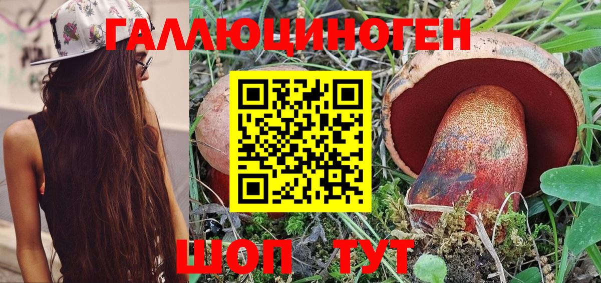 Галлюциногенные грибы ЛСД  купить наркотики цена  Вход с VPN  Каменка  Галлюциногенные грибы мухоморы 
